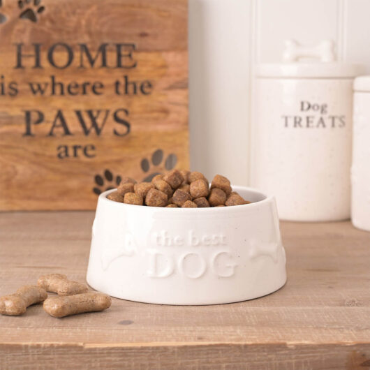 Paw Prints Small Dog Bowl The Best Dog