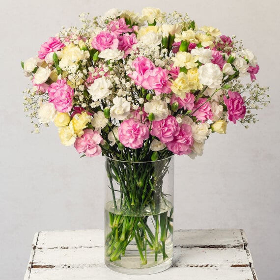 Spray Cascade Luxe